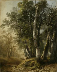 Bäume am Bachufer, Kingston, N.Y., 1846